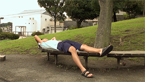 夏に枯れる向日葵④