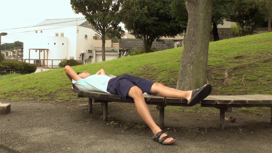 夏に枯れる向日葵④